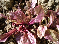 940c02e3-Picture 046.jpg